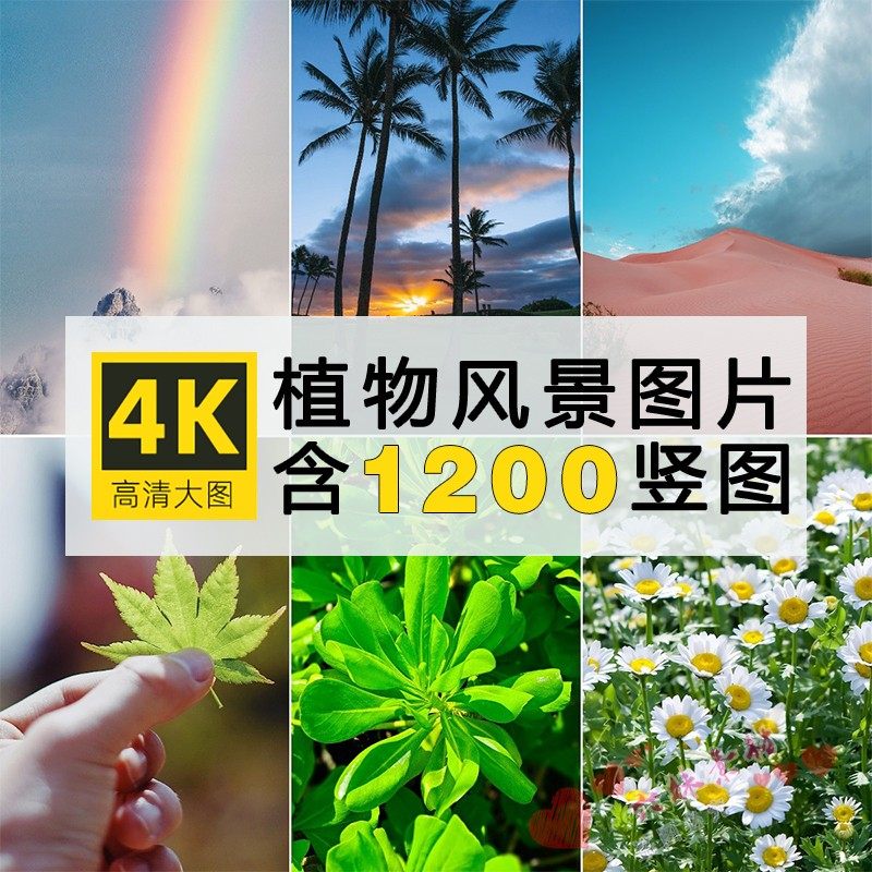唯美手机壁纸合集2k4k高清风景天空花朵清新静物桌面背景图片素材