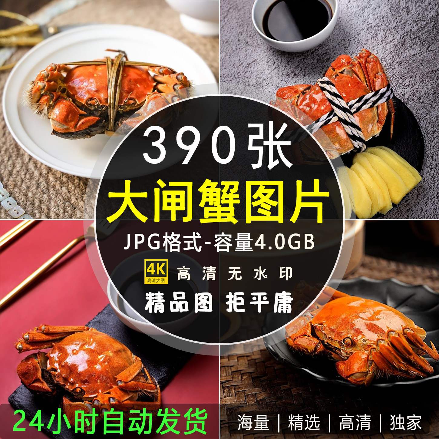 高清图库大闸蟹照片阳澄湖螃蟹海鲜美食鲜活图片菜单画册JPG素材