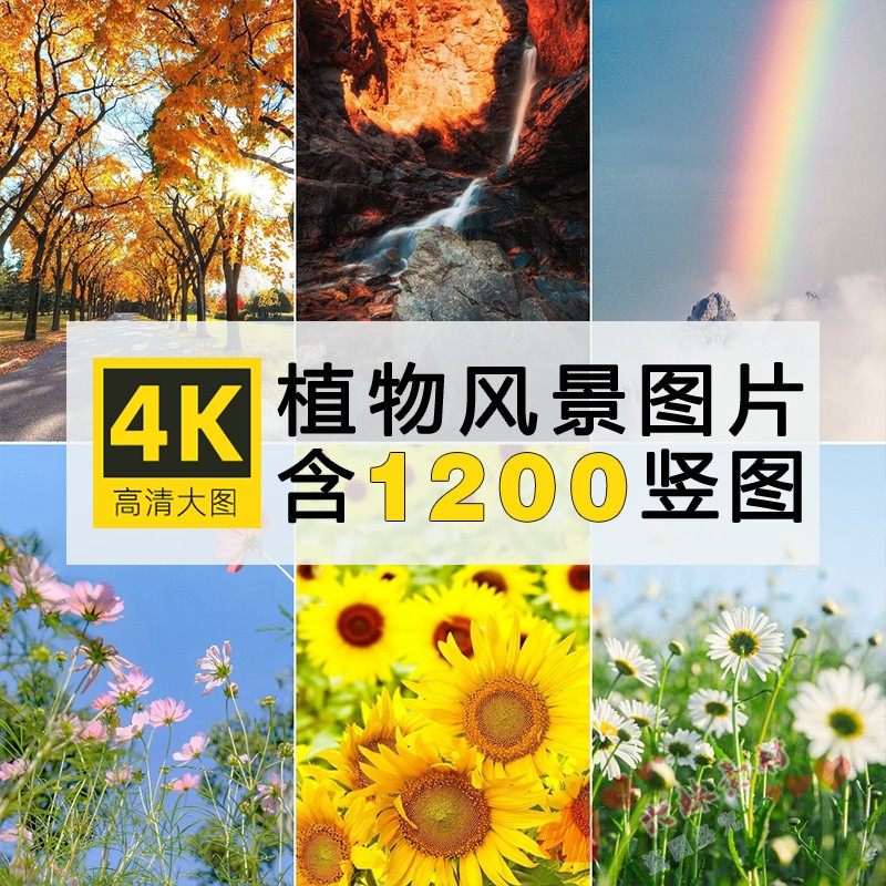 竖屏风景背景星空花海小清新苹果华为小米手机壁纸高清照片图片