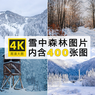 高清冬季冬天雪景自然风景JPG图片 大雪树挂白雪森林背景壁纸素材