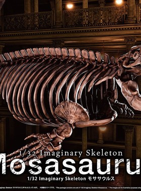 万代 沧龙 恐龙骨架 Imaginary Skeleton 拼装 1/32 模型