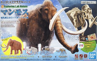 万代 自然探险实验室Exploring Lab Nature 猛犸象 拼装模型