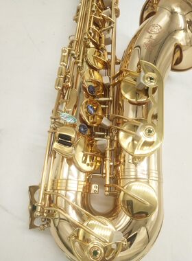 西洋吹奏乐器萨尔玛802次中音萨克斯金铜管体鲍鱼按扣降B调包邮