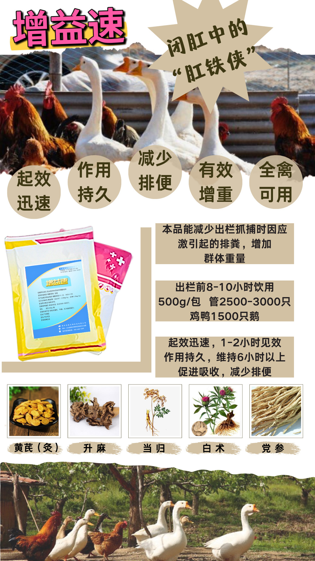 【增益素】家禽闭肛产品卖鸡卖鸭卖减少排便增重抗应激锁住水分