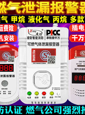 燃气报警器家用液化气厨房煤气可燃气体探测漏气天然气泄漏报警器