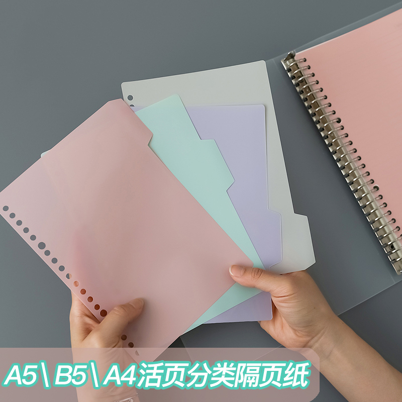 8张活页本分隔页分类卡索引贴分页隔页纸分页纸文件夹分页标签索引纸隔页板pp塑料索引卡彩色分类纸b5记事本