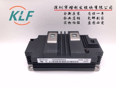 FZ250R65KE3 FZ400R65KE3 FZ500R65KE3 FZ600R65KE3原装现货