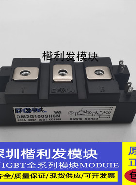 DM2G100SH6N DM2G300SH6N DM2G400SH6N