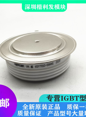 全新原装现货6SY7010-0AA41 6SY7010-0AAA54 6SY7010-0AA46