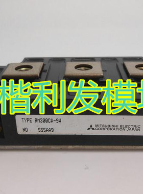 RM300CA-9W大量现货 保上机