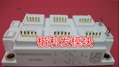 SKM200GAH123DKL SKM200GAL123DKLD110