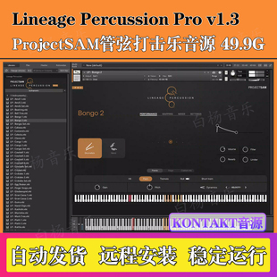 ProjectSAM Lineage Percussion Pro v1.3 Kontakt管弦打击乐音源