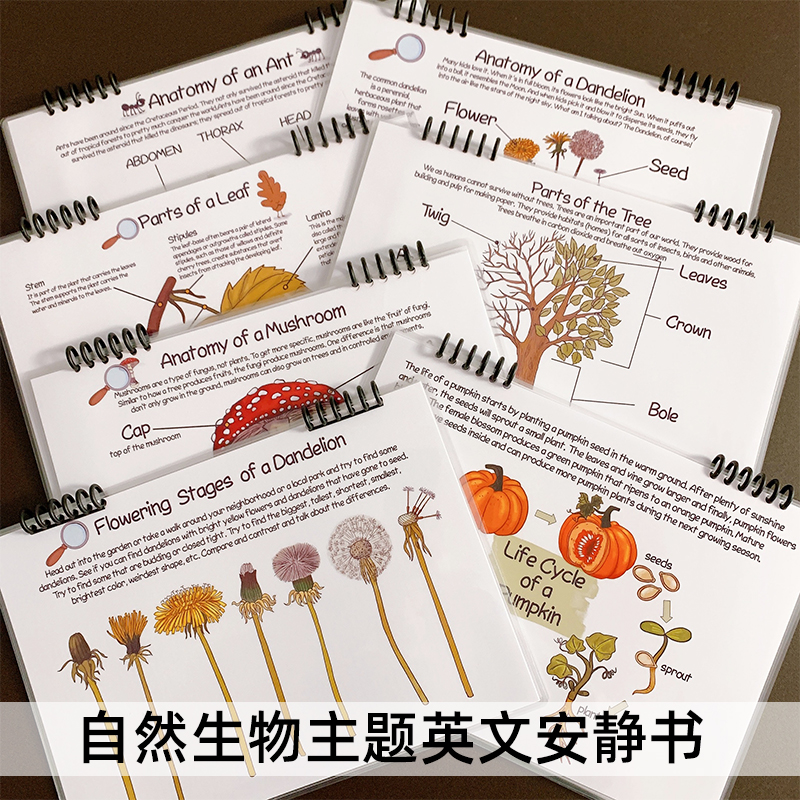 英文安静书自然主题贴纸书
