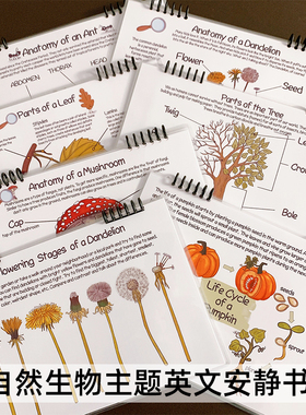 英文安静书自然生命周期科普认知儿童英语学习教具手工diy贴纸书