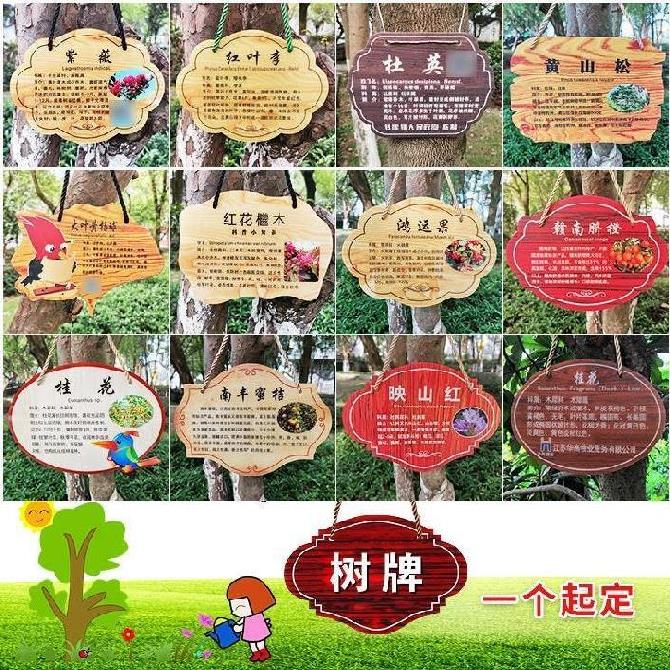 树牌栽树悬挂名牌标签牌学校木纹花卉pvc名称定做设计树牌悬挂牌