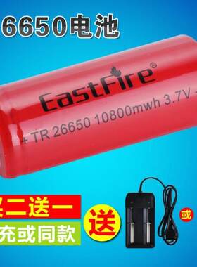 26650锂电池单杆逆变器