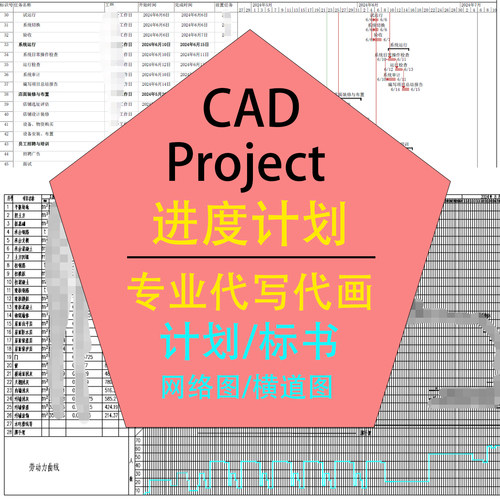 定制标书计划进度计划project横道图网络图CAD平面图代写代画