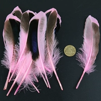 Около 20 розовых