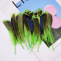 Зеленый около 50 корней