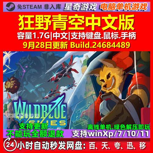 狂野青空 Wild Blue Skies 中文版 电脑PC单机游戏