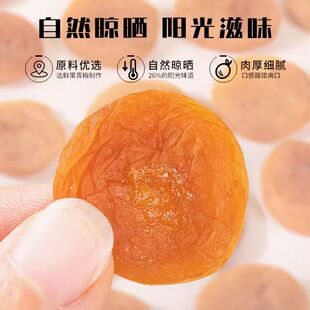 诏安特产无蔗糖无添加无核梅饼原味酸甜孕妇控糖酸话梅肉独立包装