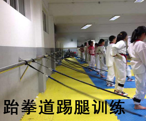 蹬摆训练带 田径双踝力量训练阻拉力绳 跆拳道下肢踢腿训练器