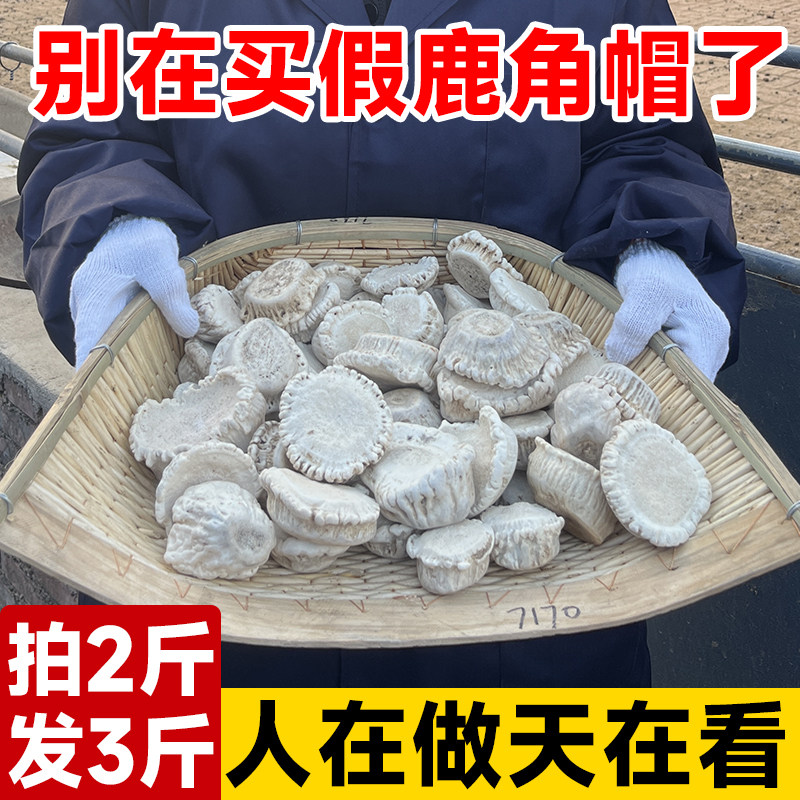 东北长白山鹿角帽粉正品250g梅花鹿角帽鹿托盘粉鹿角冒拍2斤发3斤
