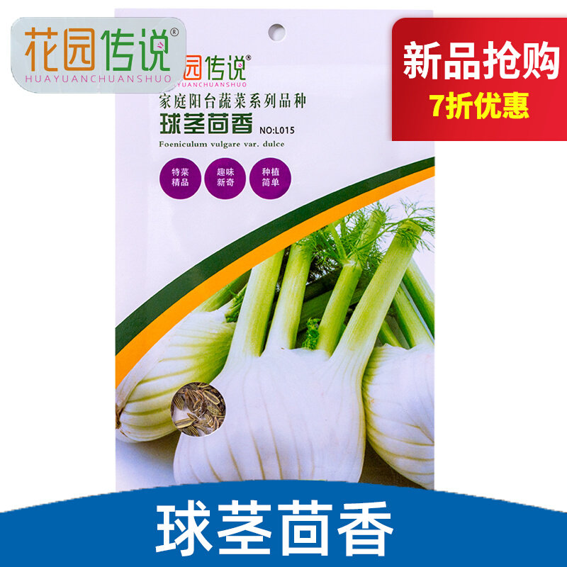花园传说球茎茴香种子蔬菜香料阳台庭院盆栽四季带根小茴香菜菜