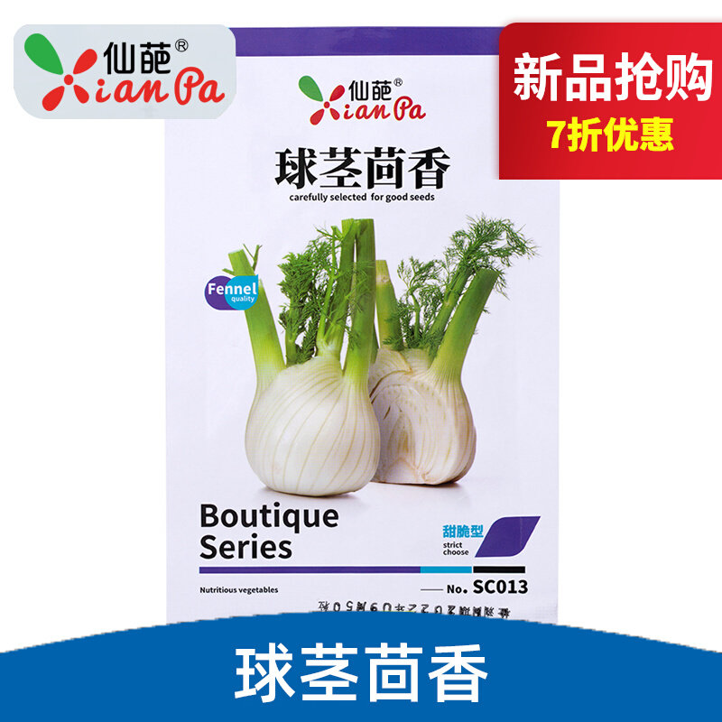 仙葩球茎茴香种子阳台田园蔬菜盆栽种籽结球割茬四季播种小茴香