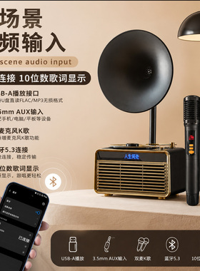 欧蒂诺 301留声机家用K歌蓝牙音响充电式重低音音箱摆件生日礼物