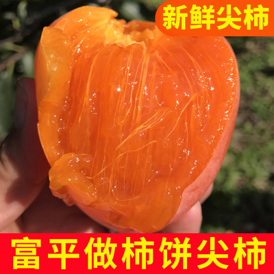 富平尖柿甜软甜柿饼柿子大尖柿