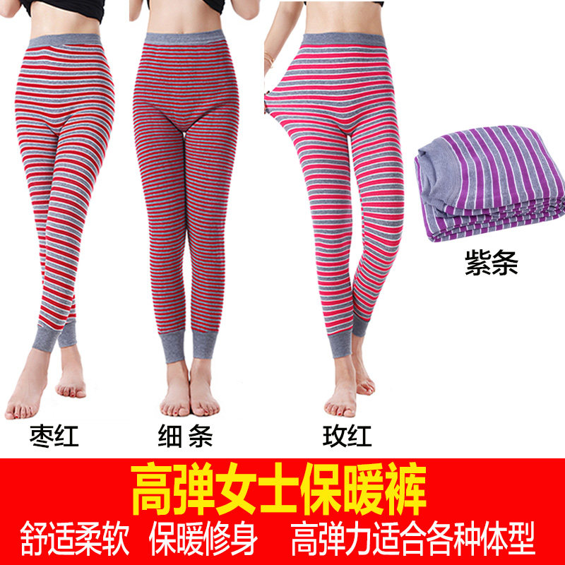 新款女士加绒纯棉高弹保暖裤秋冬款全棉裤秋裤加厚加毛热能裤包邮