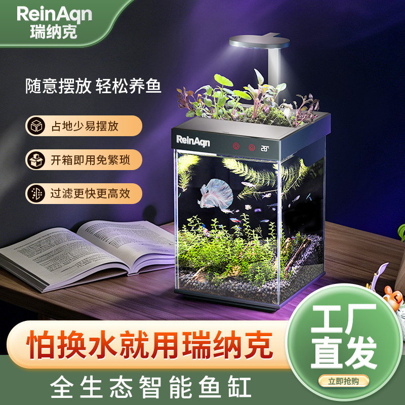 斗鱼专用缸桌面装饰鱼缸免打理图片