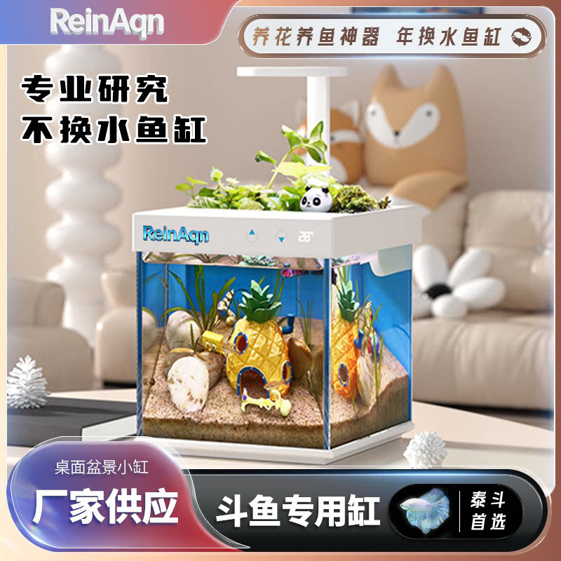 九品小森森林生态缸小型桌面超白玻璃斗鱼缸过滤制氧一体机金鱼缸
