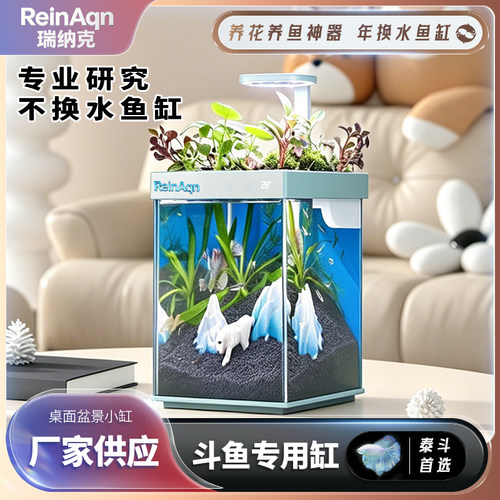 鱼缸小型客厅自循环生态缸