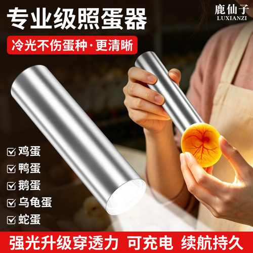 照蛋器专用手电筒led便携照蛋灯