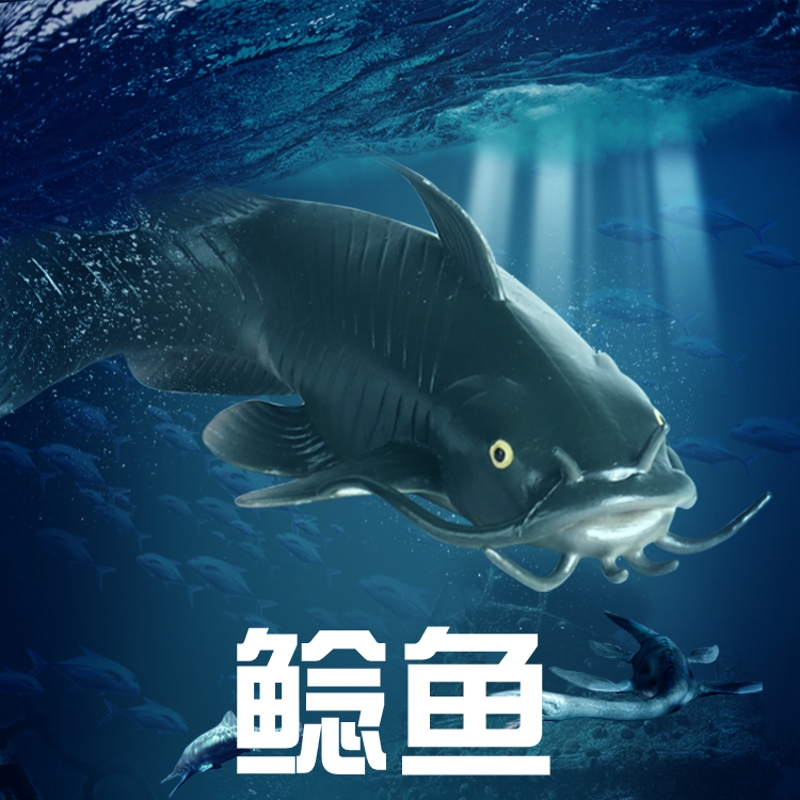 儿童海洋鱼类玩具鲶鱼模型鲇鱼胡子鲢仿真动物海底古生物认知手办