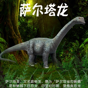 萨尔塔龙雷龙腕龙迷惑龙索他龙儿童恐龙模型玩具套装仿真动物手办