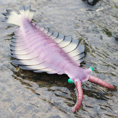 远古海洋生物玩具模型塑胶摆件