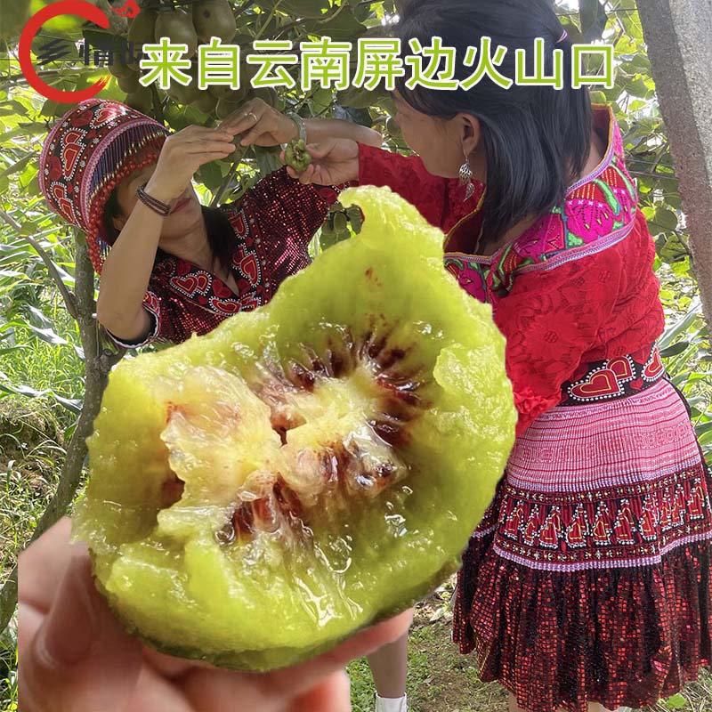 【快结束了】火山土红心猕猴桃