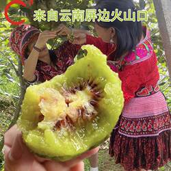 【乡情味】云南屏边原始森林火山土红阳红心猕猴桃农家奇异果现采