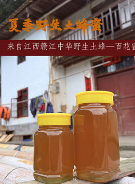 赣江农家野外引蜂纯土蜂百花蜜
