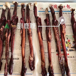 内蒙古敖鲁古雅玛力亚索使鹿部落驯鹿鞭