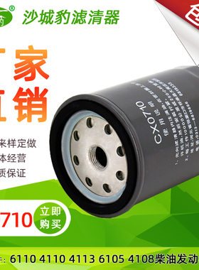 CX0710适用6105福田江淮货车4110柴油发动机6110滤芯4113柴滤清器
