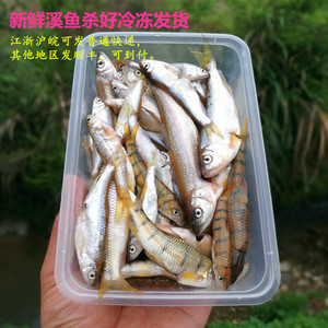 野生溪鱼河鱼石斑马口桃花瓣泥鳅黄颡小杂鱼杀好新鲜冷冻顺丰包邮