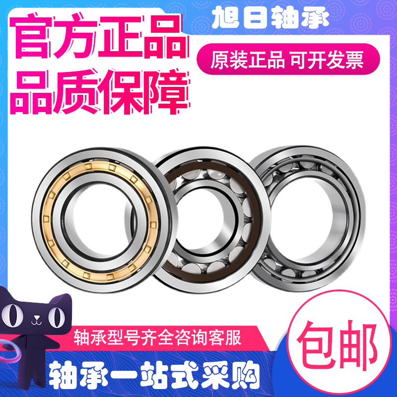 FAG轴承N NU NJ NUP 2232 2234 2236 2238-E-XL-TVP2-M1-JP-C3 C4