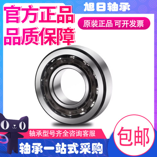 FAG德国进口轴承7212 7213 7214 7300 7301 7302-B-XL-2RS-TVP-JP