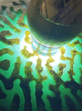 WE14238缅甸天然翡翠原石老坑莫西沙场口开窗手镯料 重1.4公斤