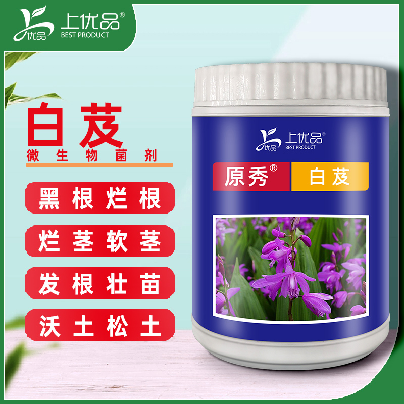 白芨适用上优品厂家直销