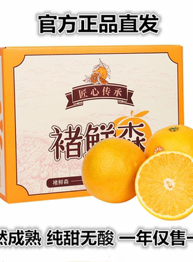云南哀牢山褚橙之乡高山甜橙子褚鲜森冰糖橙10斤礼盒箱包邮新水果